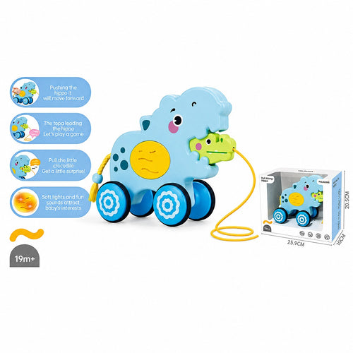Pull Rope Car Toy with Light and Music