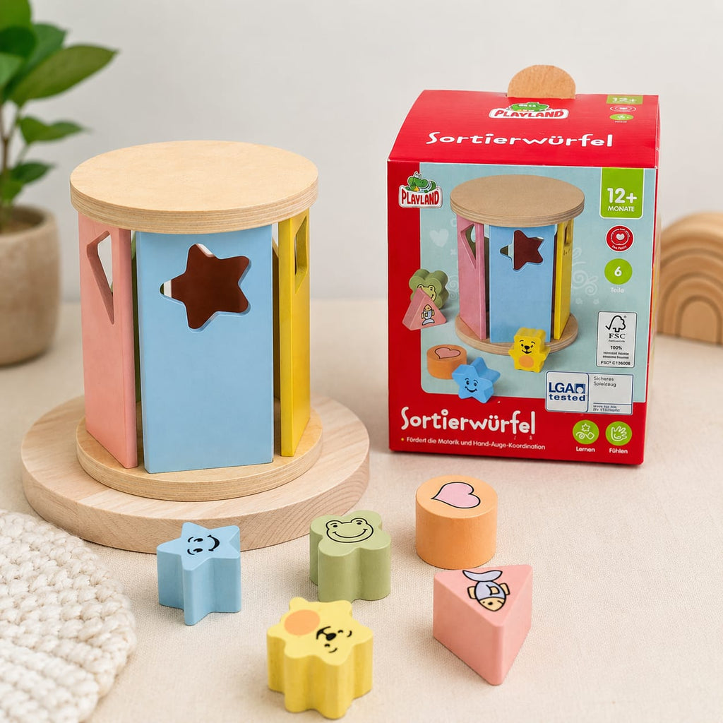 Playland Wooden Sorting Cube & Motor Skills Toy for kids