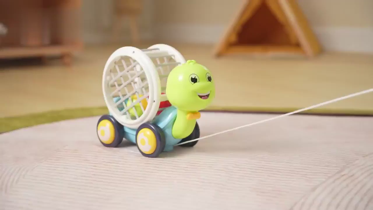 Little Turtle Early Education Pull Toy